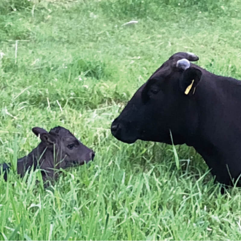 哺乳意欲の確認