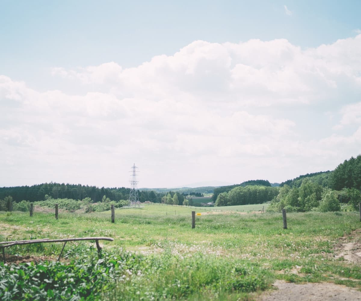 牧場の風景